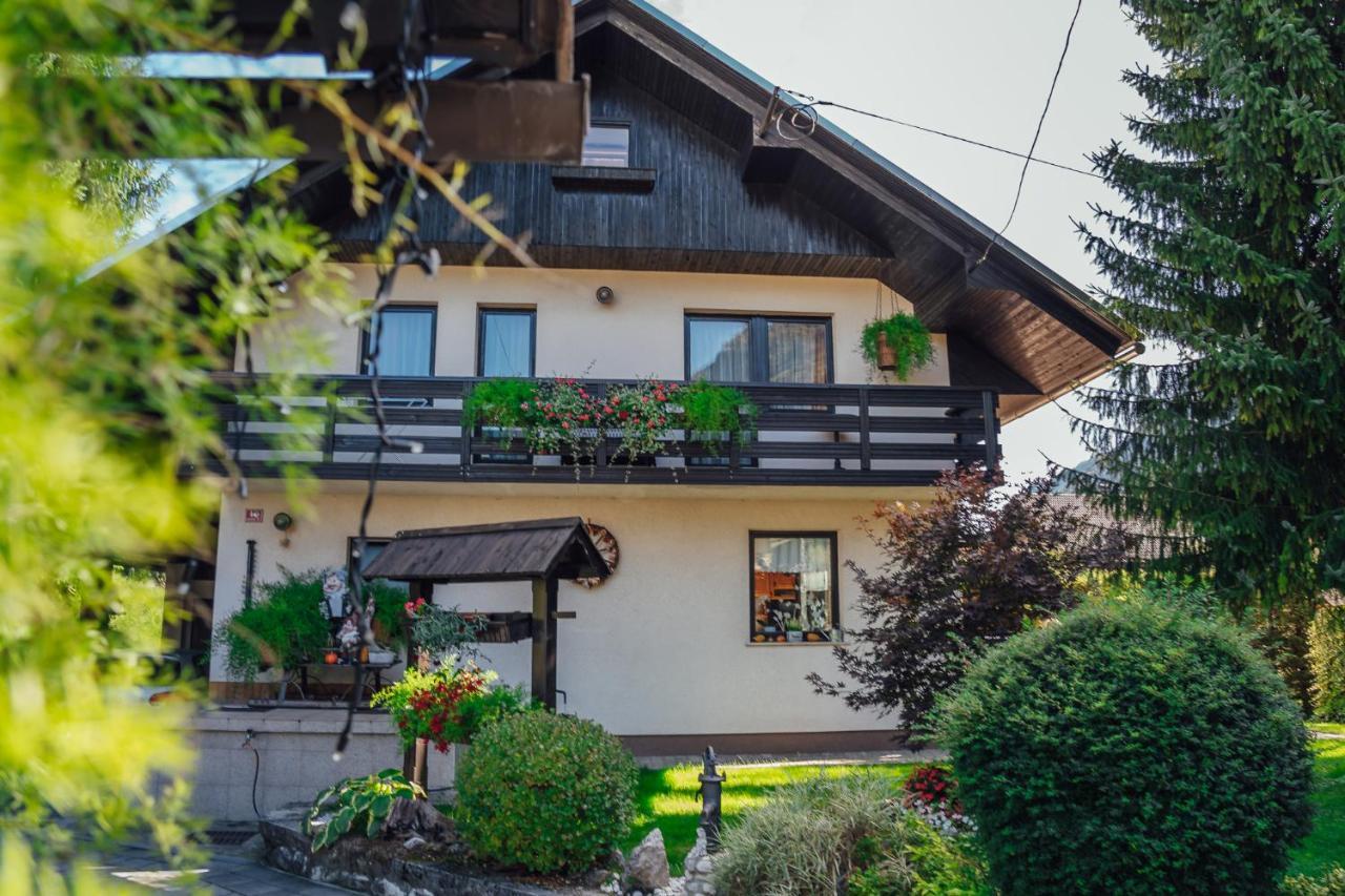 Apartma Borovc Мойстрана Екстер'єр фото