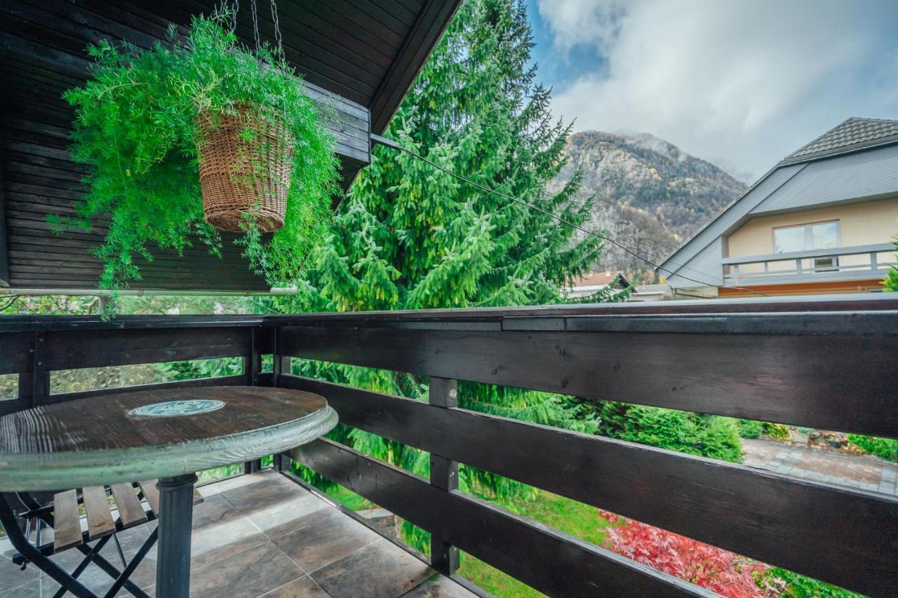 Apartma Borovc Мойстрана Екстер'єр фото